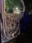 IMG_8177.jpeg