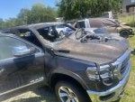 IMG_8194.jpeg