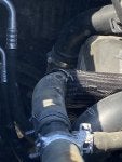 IMG_8239.jpeg